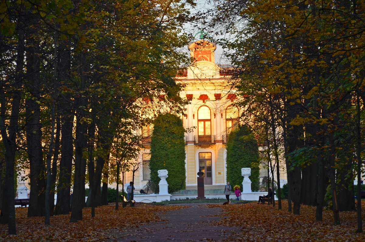 Тимирязевский парк картинки